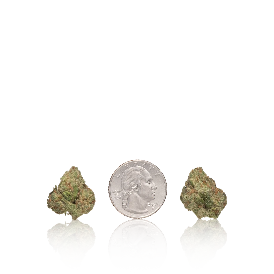 Exotic Smalls