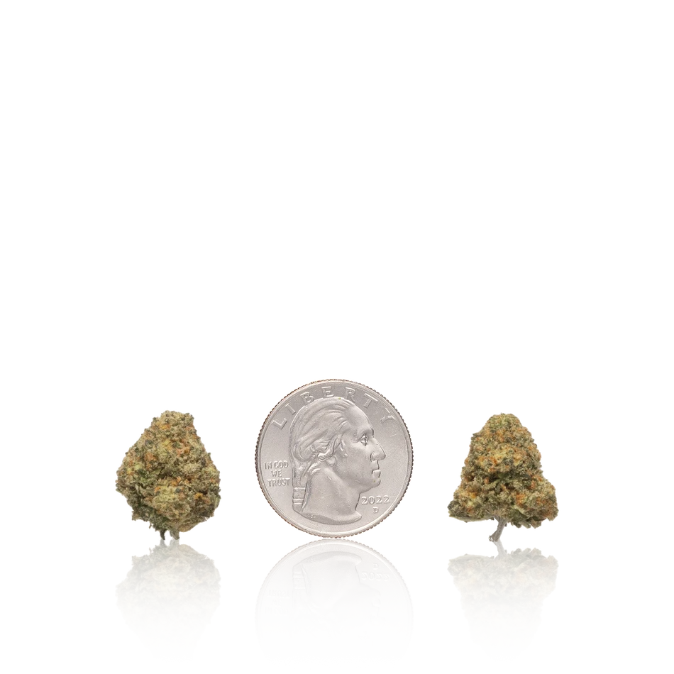 Bulk Premium Smalls