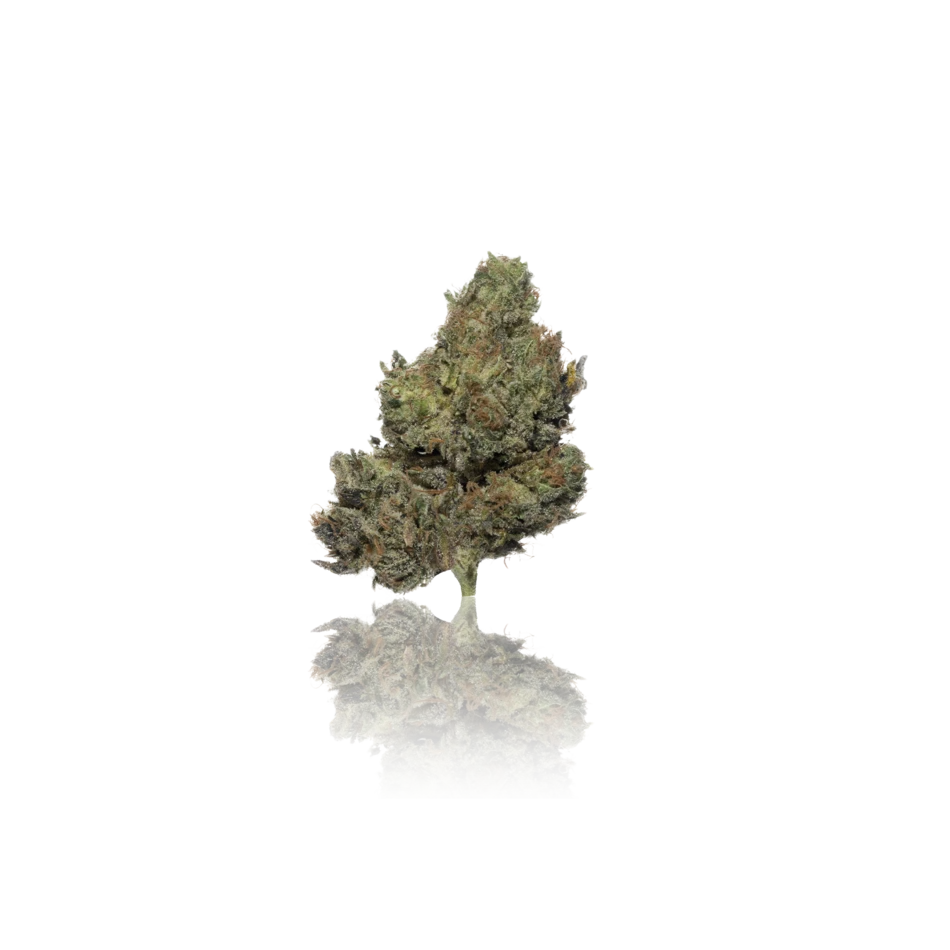 Premium Indoor Flower